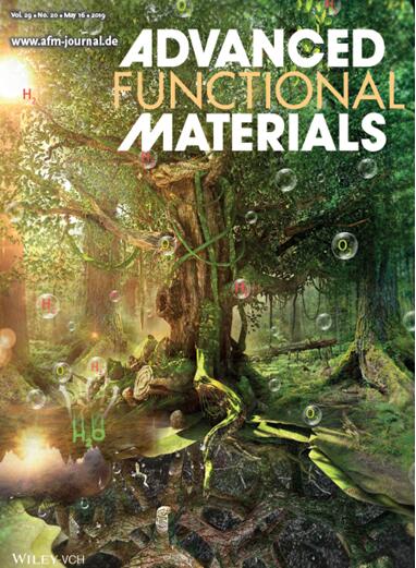 ADVANCED FUNCTIONAL MATERIALS